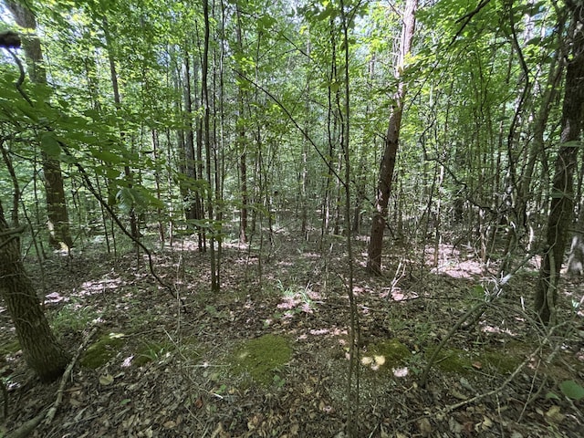 1 Mullins Cove Rd, Whitwell, TN 37397 - photo 6