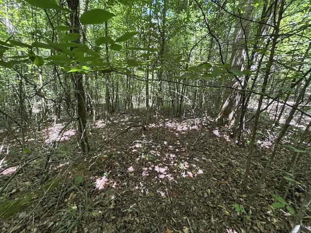 1 Mullins Cove Rd, Whitwell, TN 37397 - photo 8