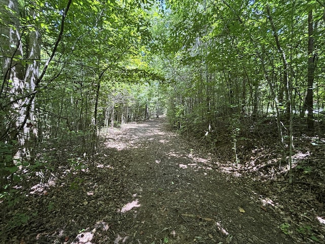 1 Mullins Cove Rd, Whitwell, TN 37397 - photo 1
