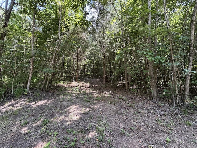 1 Mullins Cove Rd, Whitwell, TN 37397 - photo 9