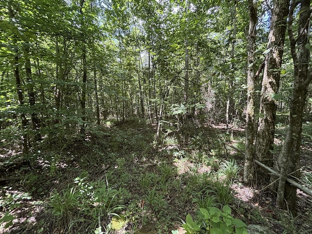 1 Mullins Cove Rd, Whitwell, TN 37397 - photo 10