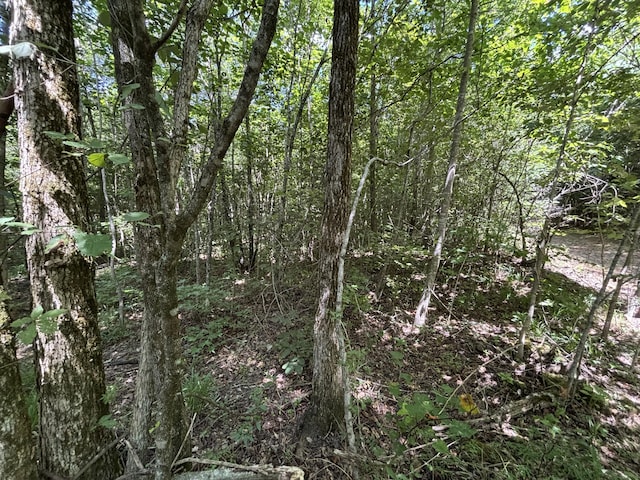 1 Mullins Cove Rd, Whitwell, TN 37397 - photo 11