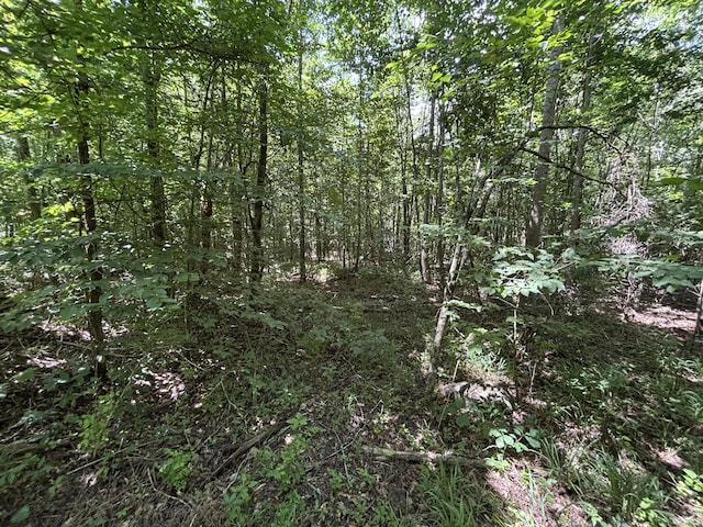 1 Mullins Cove Rd, Whitwell, TN 37397 - photo 12