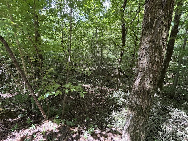 1 Mullins Cove Rd, Whitwell, TN 37397 - photo 13