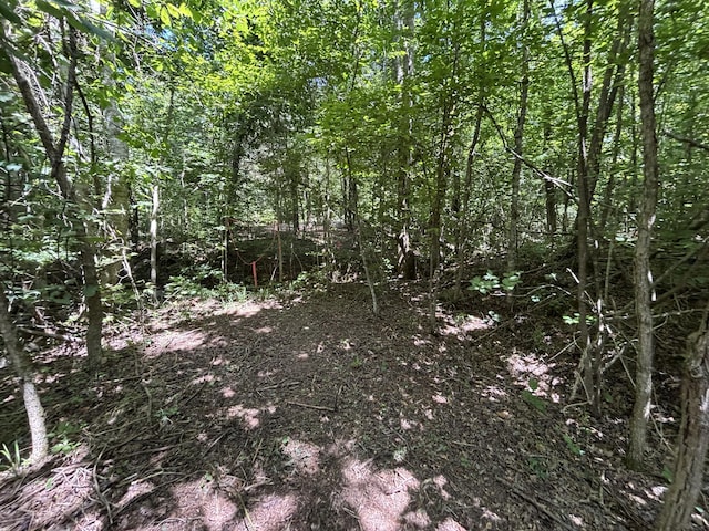 1 Mullins Cove Rd, Whitwell, TN 37397 - photo 15