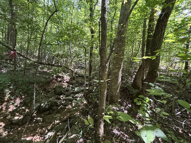 1 Mullins Cove Rd, Whitwell, TN 37397 - photo 18