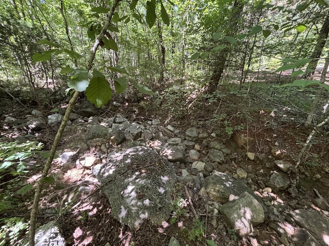 1 Mullins Cove Rd, Whitwell, TN 37397 - photo 19