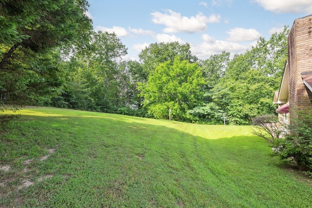 8 Hickory Ridge Trl, Ringgold, GA 30736 - photo 45