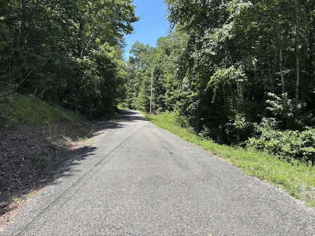 0 Deer Ridge Estates Rd, Whitwell, TN 37397 - photo 17