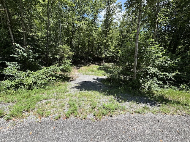 0 Deer Ridge Estates Rd, Whitwell, TN 37397 - photo 8