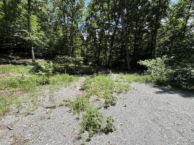 0 Deer Ridge Estates Rd, Whitwell, TN 37397 - photo 9