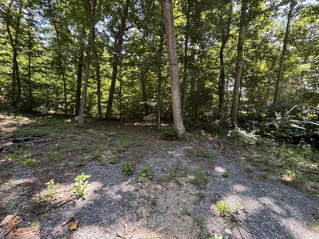 0 Deer Ridge Estates Rd, Whitwell, TN 37397 - photo 4