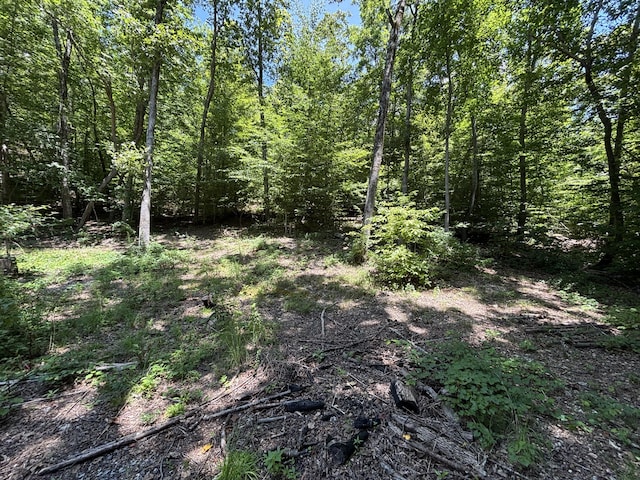0 Deer Ridge Estates Rd, Whitwell, TN 37397 - photo 1