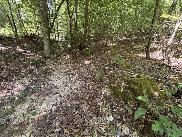 0 Deer Ridge Estates Rd, Whitwell, TN 37397 - photo 18