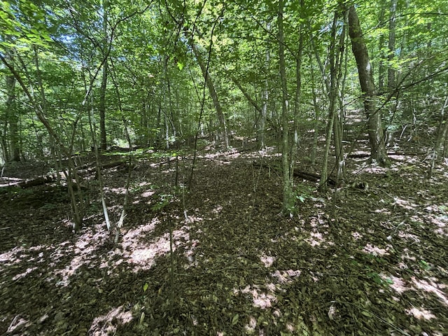 0 Deer Ridge Estates Rd, Whitwell, TN 37397 - photo 22