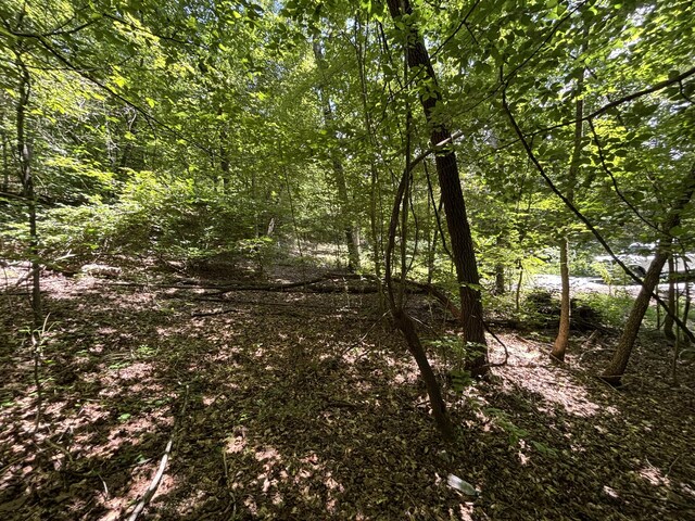 0 Deer Ridge Estates Rd, Whitwell, TN 37397 - photo 3