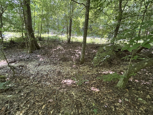 0 Deer Ridge Estates Rd, Whitwell, TN 37397 - photo 7