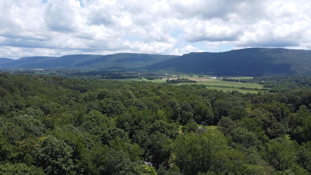 0 Deer Ridge Estates Rd, Whitwell, TN 37397 - photo 25