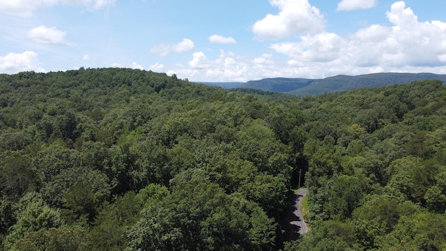 0 Deer Ridge Estates Rd, Whitwell, TN 37397 - photo 28