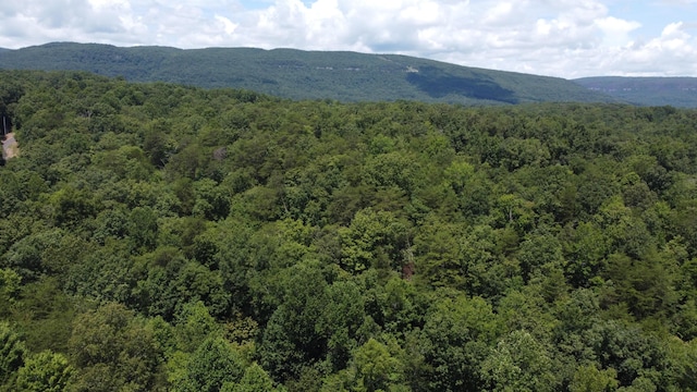 0 Deer Ridge Estates Rd, Whitwell, TN 37397 - photo 30