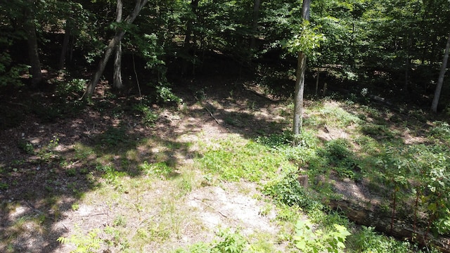 0 Deer Ridge Estates Rd, Whitwell, TN 37397 - photo 19