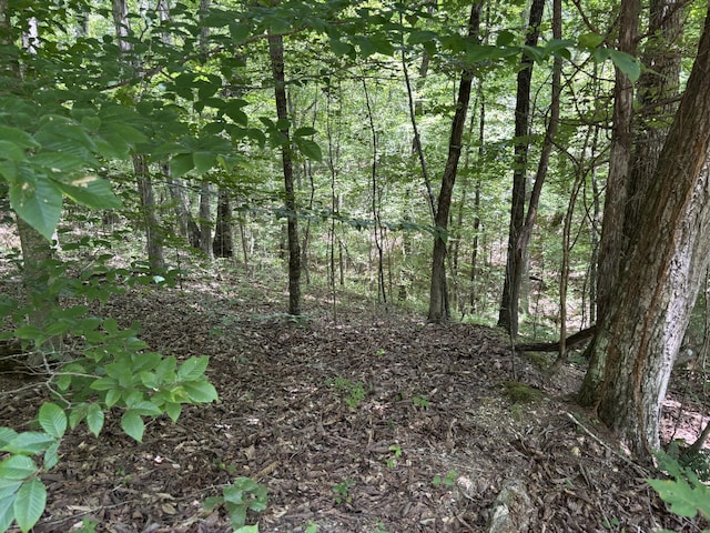 0 Deer Ridge Estates Rd, Whitwell, TN 37397 - photo 5