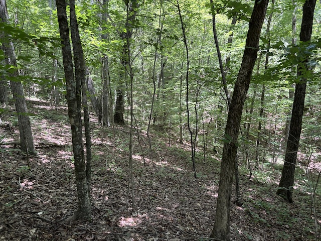 0 Deer Ridge Estates Rd, Whitwell, TN 37397 - photo 11