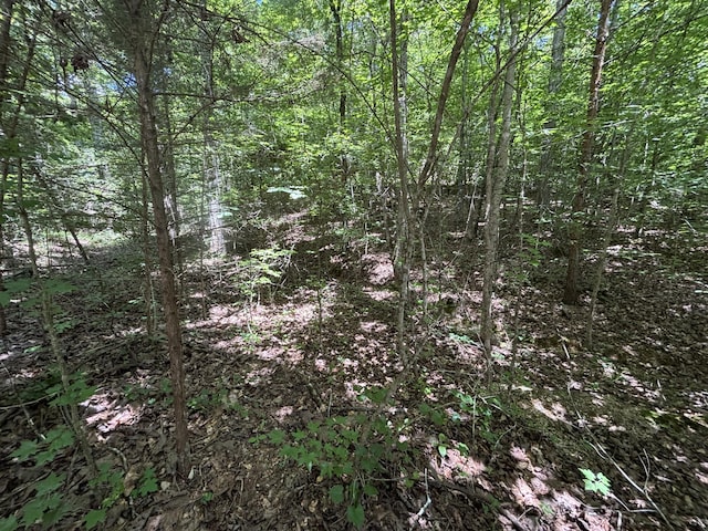 0 Deer Ridge Estates Rd, Whitwell, TN 37397 - photo 12
