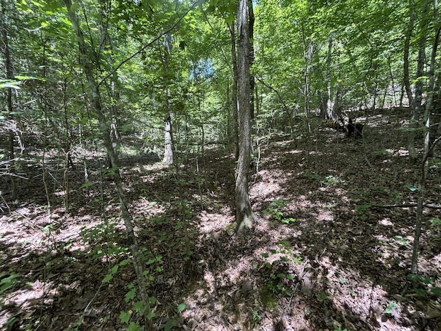 0 Deer Ridge Estates Rd, Whitwell, TN 37397 - photo 13