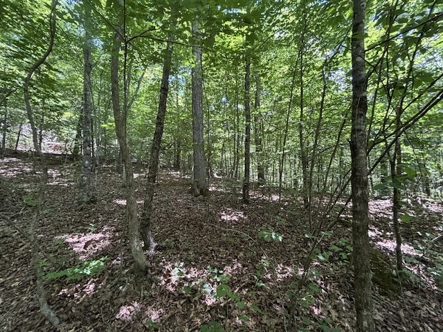 0 Deer Ridge Estates Rd, Whitwell, TN 37397 - photo 14