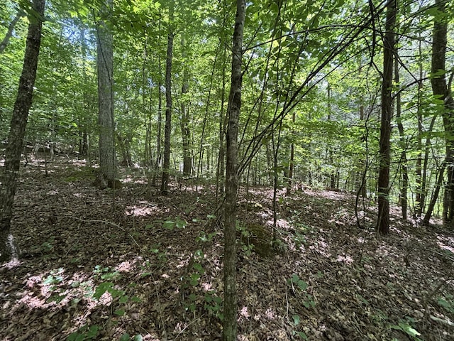 0 Deer Ridge Estates Rd, Whitwell, TN 37397 - photo 15