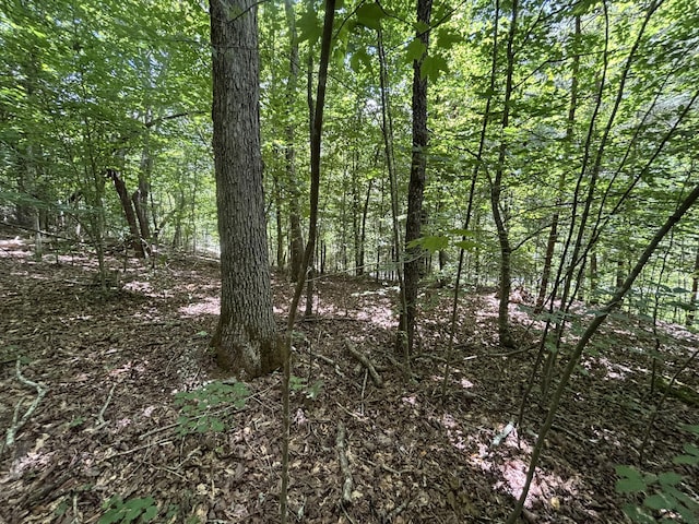 0 Deer Ridge Estates Rd, Whitwell, TN 37397 - photo 2