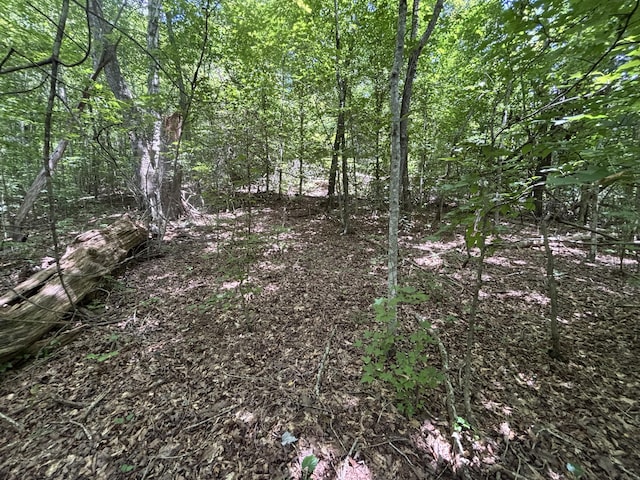 0 Deer Ridge Estates Rd, Whitwell, TN 37397 - photo 16