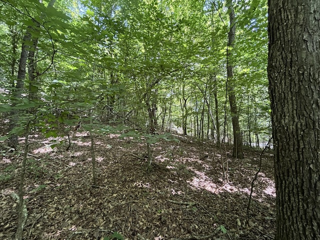 0 Deer Ridge Estates Rd, Whitwell, TN 37397 - photo 20
