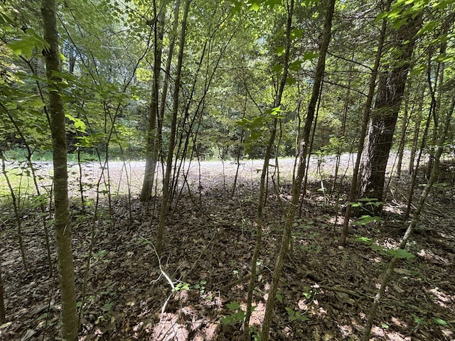 0 Deer Ridge Estates Rd, Whitwell, TN 37397 - photo 21