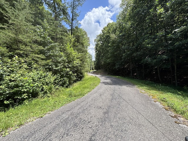 0 Deer Ridge Estates Rd, Whitwell, TN 37397 - photo 33