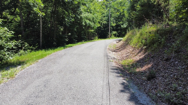 0 Deer Ridge Estates Rd, Whitwell, TN 37397 - photo 34