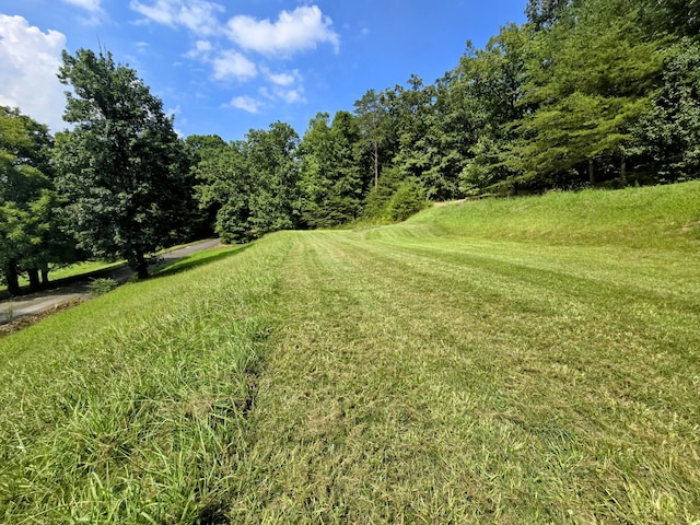 2042 Willow Springs Dr, Athens, TN 37303 - photo 2