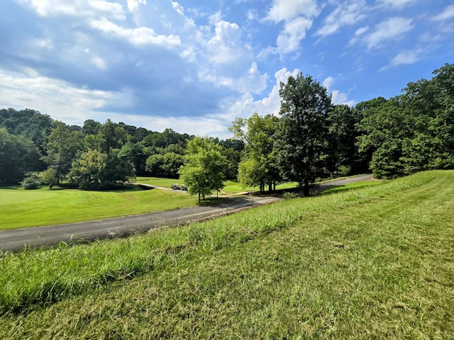 2042 Willow Springs Dr, Athens, TN 37303 - photo 3