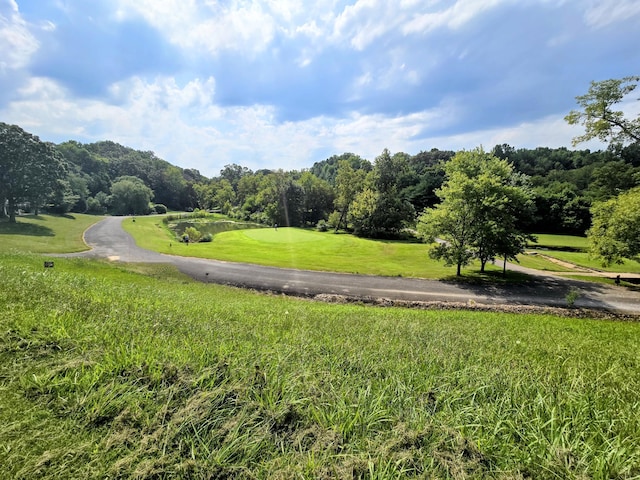 2042 Willow Springs Dr, Athens, TN 37303 - photo 4