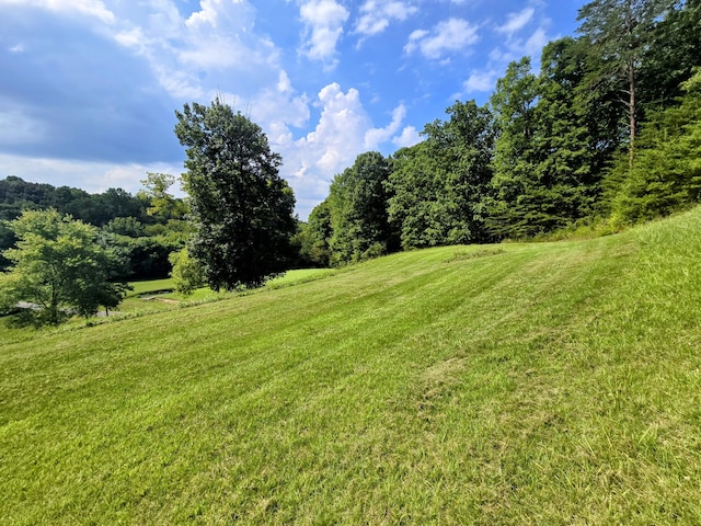 2042 Willow Springs Dr, Athens, TN 37303 - photo 5