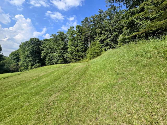 2042 Willow Springs Dr, Athens, TN 37303 - photo 6