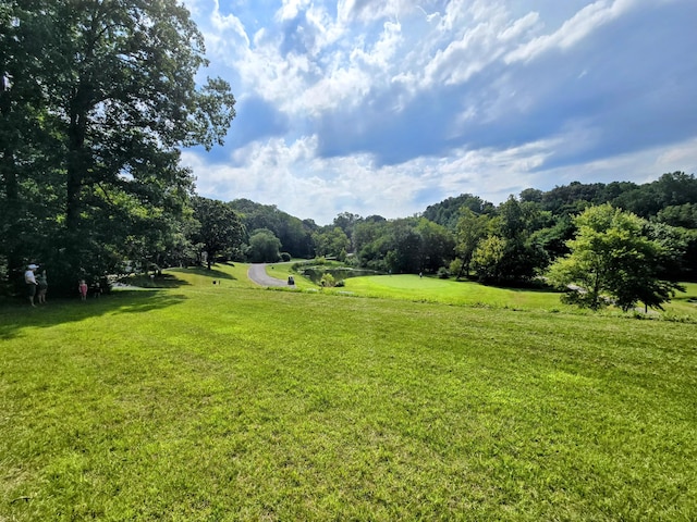 2042 Willow Springs Dr, Athens, TN 37303 - photo 7