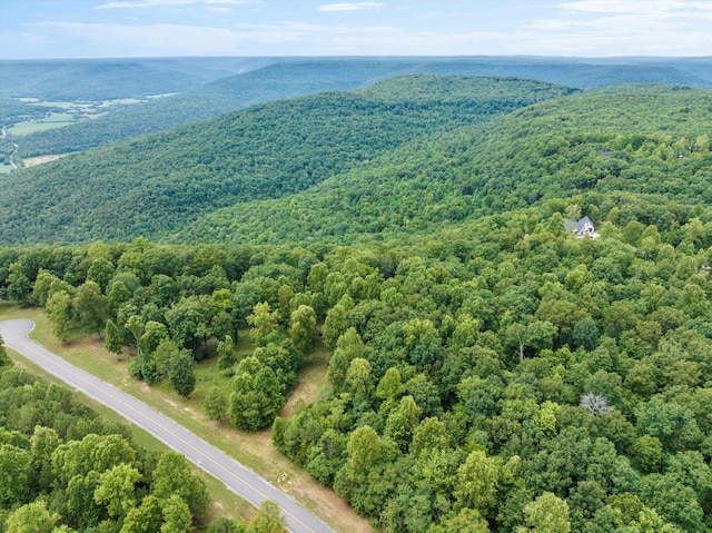 366 Volunteer St, Jasper, TN 37347 - photo 2