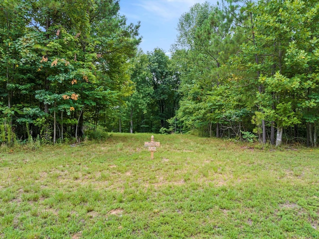 366 Volunteer St, Jasper, TN 37347 - photo 4