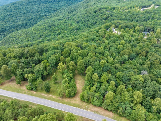 366 Volunteer St, Jasper, TN 37347 - photo 6