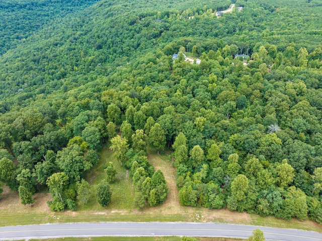 366 Volunteer St, Jasper, TN 37347 - photo 7