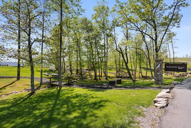 366 Volunteer St, Jasper, TN 37347 - photo 26