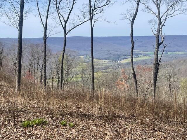 366 Volunteer St, Jasper, TN 37347 - photo 36