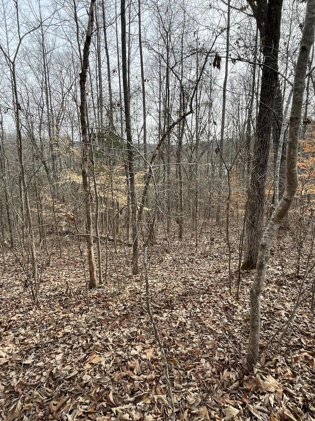 0 Swanson Rd, Ringgold, GA 30736 - photo 8
